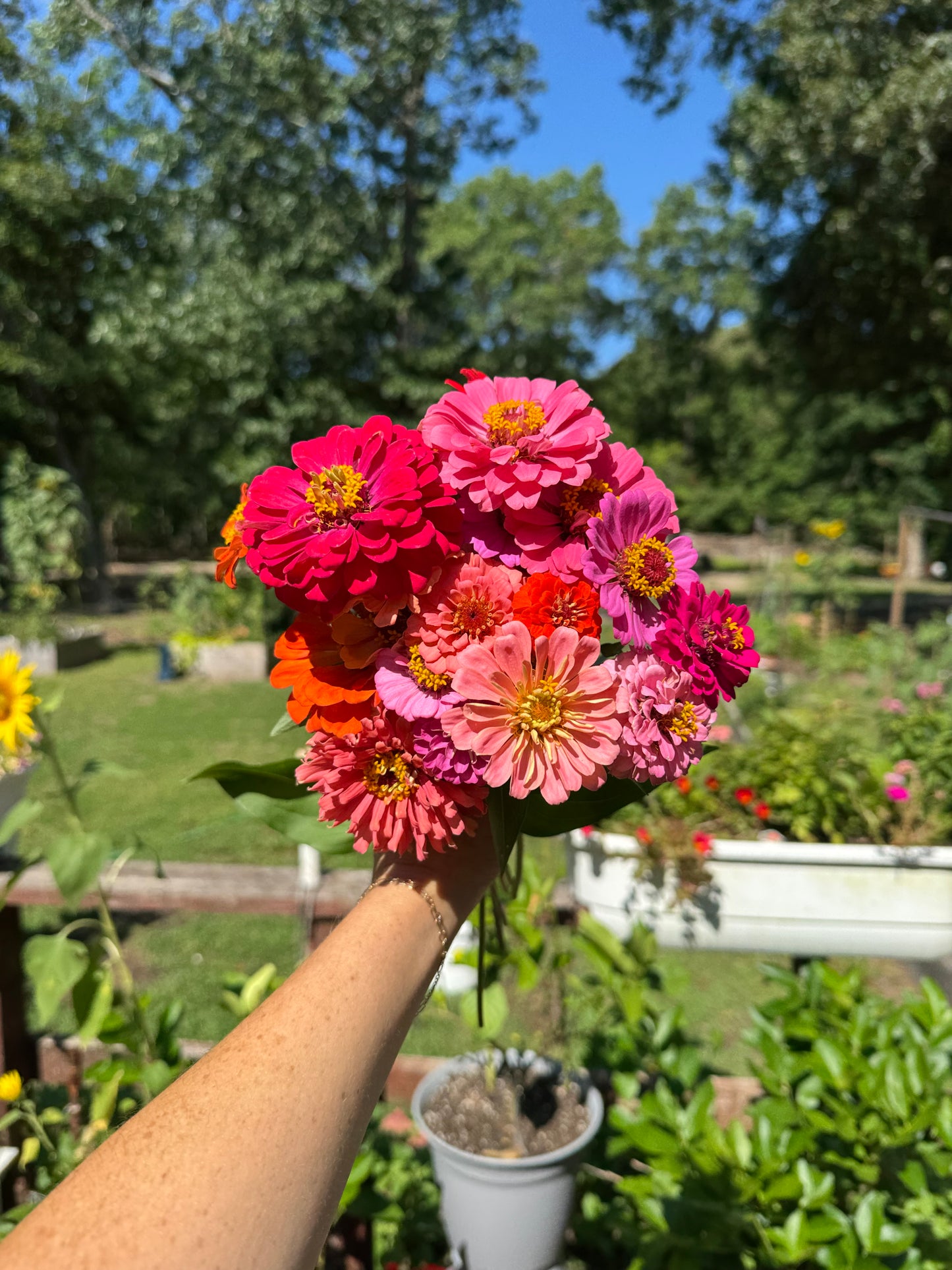 Zinnia Bouquet