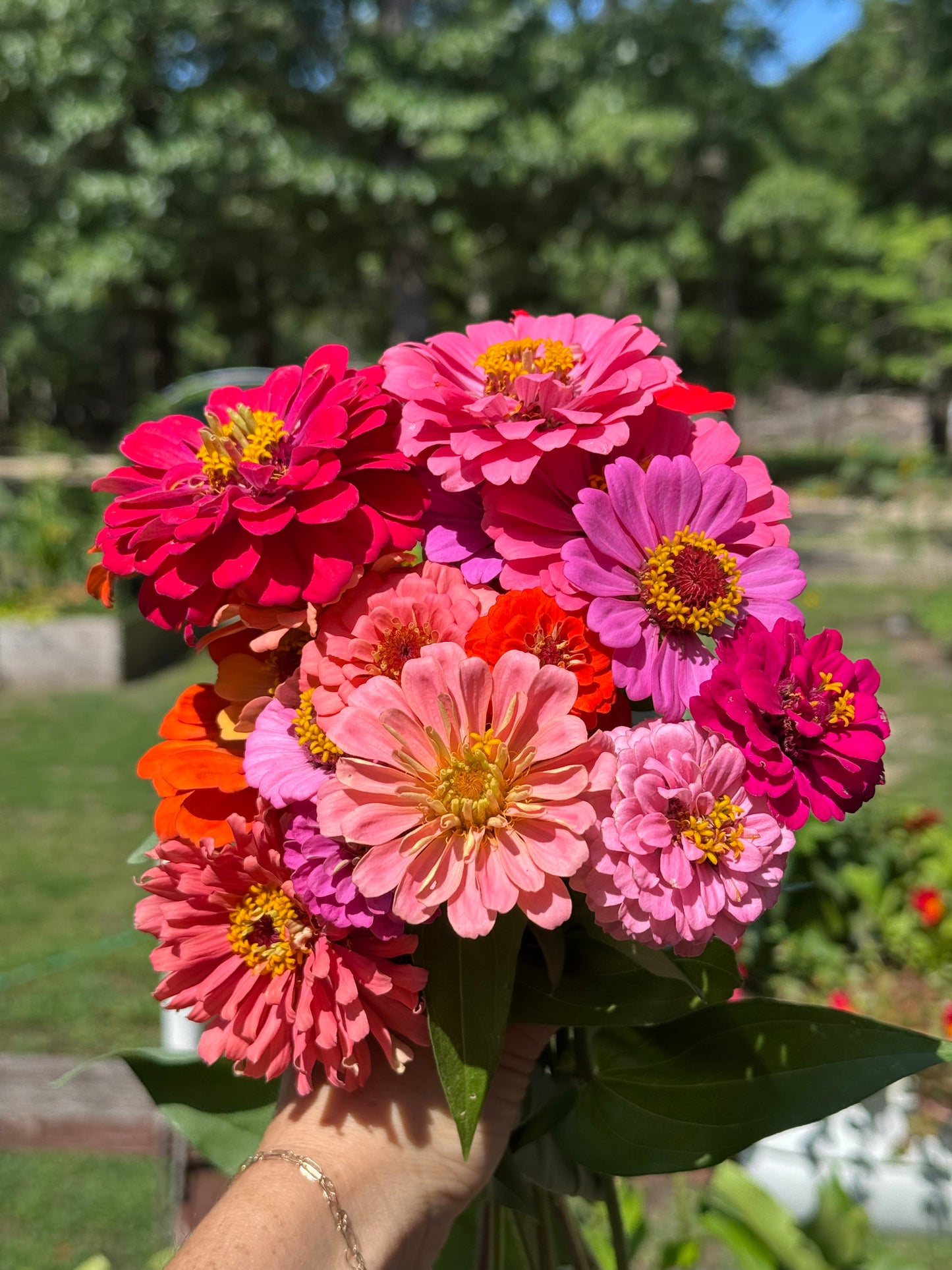 Zinnia Bouquet