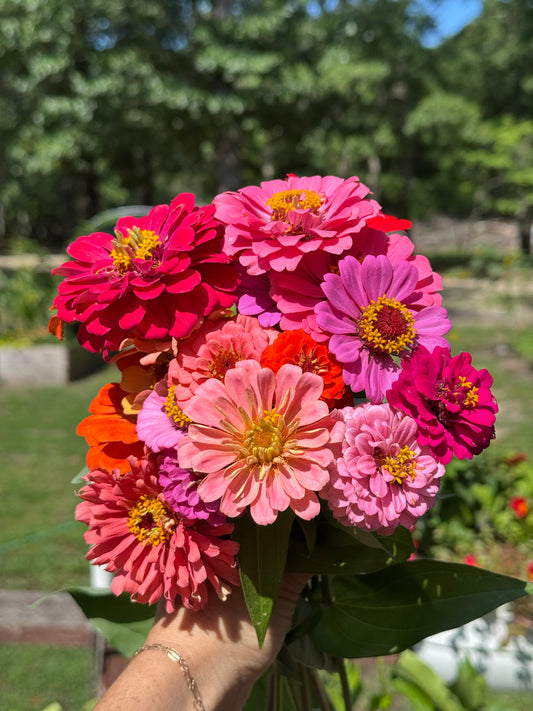 Zinnia Bouquet